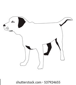 Cartoon labrador retriever dog trains. Vector illustration