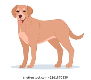 Cartoon labrador retriever. Labrador guide, rescue or companion dog. Cute dog breed, purebred domestic pet flat vector illustration