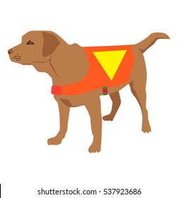 Cartoon labrador retriever rescue Dog. Lifeguard dog Squadron. Vector illustration.
