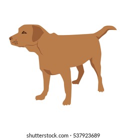 Cartoon labrador retriever trains. Vector illustration