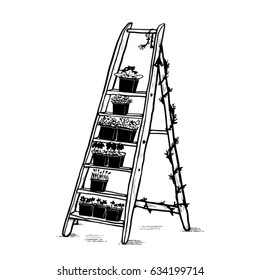 Cartoon Ladder with Plants