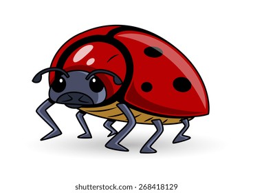 Cartoon Lady Bug Vector