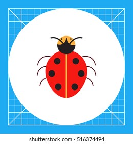 Cartoon ladybird icon