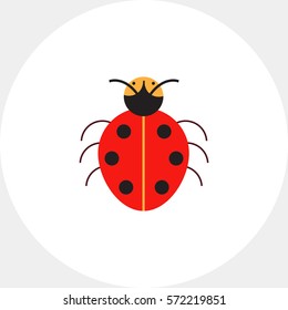 Cartoon ladybird icon