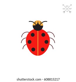 Cartoon ladybird icon