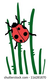 Cartoon ladybug