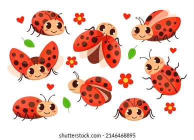 Mariquita de caricatura. Cute ladybugs, bugs rojos de jardín y escuadrón vector de dama de insectos ladybug, ilustración de escarabajo de dibujos animados de verano