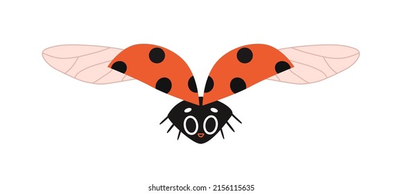 Cartoon ladybug with eyes in flight. A cute insect with spread wings smiles. Flying spotted bug vector illustration isolated on white background.