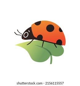 Cartoon ladybug and eyes one leaf  Cute insect side view and gradient  Spotted beetle vector illustration isolated white background 