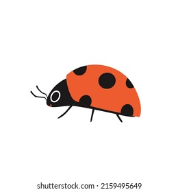 Cartoon ladybug with eyes on the side. Cute insect in flat design isolated. Vector illustration of a red spotted beetle on a white background.