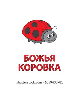 Cartoon ladybug flashcard. Vector illustration for children education with Ladybug text in Russian language