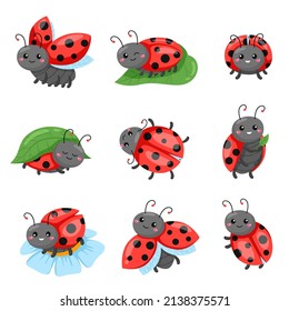 Cartoon ladybug. Funny cute red beetle with polka dots pattern, flying and crawling adorable insect characters, different poses on leaf or flower sitting, happy emotions vector isolated set