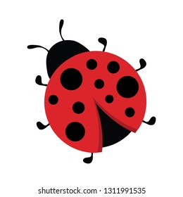 Cartoon ladybug icon, logo design, bright sticker, scrapbooking element, image for kids