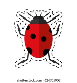 cartoon ladybug insect nature icon