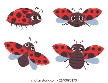 Insectos de mariquita de dibujos animados con alas negras rojas. Dibujo de insecto rojo vector, ilustración de pájaro de mosca aislada, escarabajo lindo verano