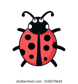 imagen de ladybug aislada en fondo blanco