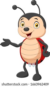Cartoon ladybug presenting on white background