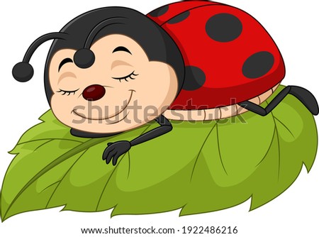 Cartoon ladybug sleeping on leaf