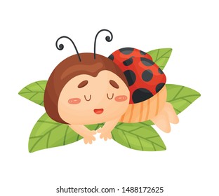 Cartoon ladybug is sleeping. Vector illustration on a white background.