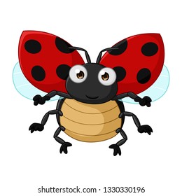 Cartoon ladybug, vector art