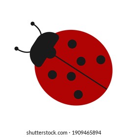 Cartoon Ladybug. Vector Illustration Isolated On White Background.