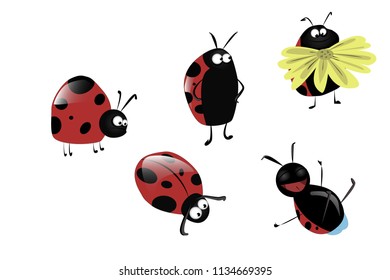 Cartoon ladybug vector set