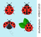 Cartoon ladybug vector set isolated from the background. Cute ladybug on a leaf or flying in a flat style. Symbols funny insects and beetles. 