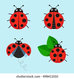 Cartoon ladybug vector set isolated from the background. Cute ladybug on a leaf or flying in a flat style. Symbols funny insects and beetles. 