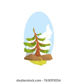 Cartoon landscape with evergreen pine growing behind rocks, blue sky background. Colorful forest nature design element. Flat vector illustration.