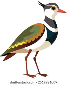 Cartoon lapwing icon on white background