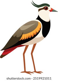 Cartoon lapwing icon on white background