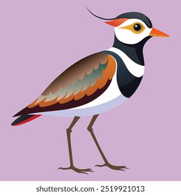 Cartoon lapwing icon on white background