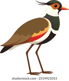 Cartoon lapwing icon on white background