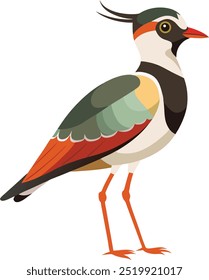 Cartoon lapwing icon on white background