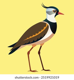 Cartoon lapwing icon on white background