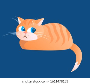 Cartoon lazy cat is comfortably lying. Striped red. Vector illustration on a dark background.