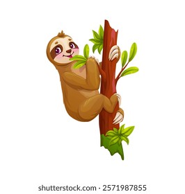 Cartoon lazy sloth animal, funny cute character on tropical tree munching on a green leaf. Isolated vector adorable and cute jungle creature personage enjoying eating the tasty meal, with relaxed face