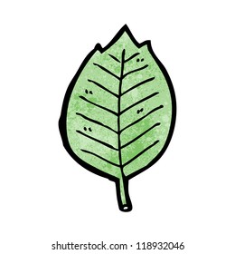 cartoon leaf