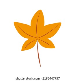 Hoja de dibujos animados de uvas silvestres, ilustración de doodles vectoriales. aislar en blanco.
