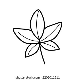 Cartoon leaf of wild grapes, vector doodle illustration. isolate on white.