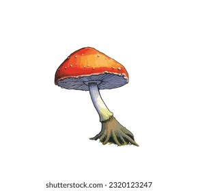 Cartoon leaning mushroom with roots on a white background. Vector illustration