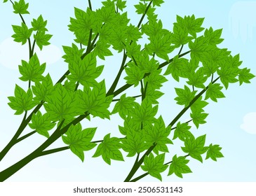 Cartoon Leaves Vector Background, Plant, Leaves, Branches, green, stems, Tree leaves Background