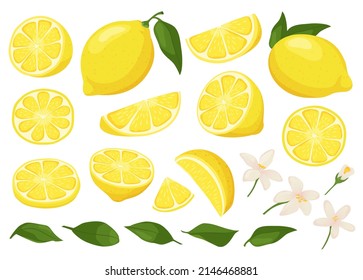 Cartoon lemon. Ripe yellow sliced lemons with blossom flowers and veaves vector illustration set. Lemon ripe and fruit organic