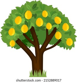 Cartoon lemon tree with green crown and ripe yellow lemons isolated on white background