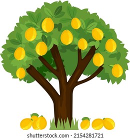 Cartoon lemon tree with green crown and ripe yellow fallen lemons isolated on white background