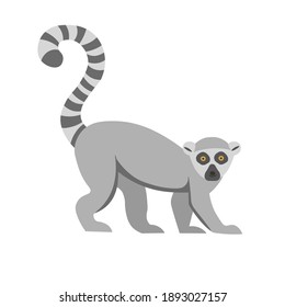 Cartoon lemur on a white background.Flat cartoon illustration for kids.
