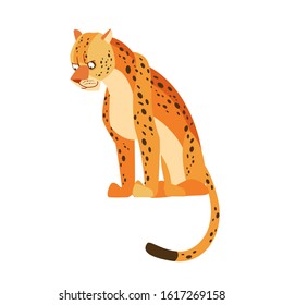 Cartoon Leopard, big spotted cat sits. Flat vector illustration isolated on white background.