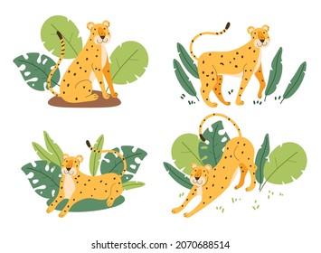 Cartoon leopard character in different position isolated set