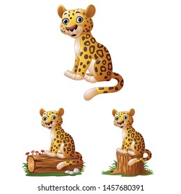 Cartoon leopard sitting collections set