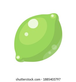 Cartoon lime isolated on white background. Whole fruit. Vector illustration